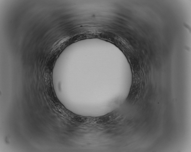 X0000096960773200802291120