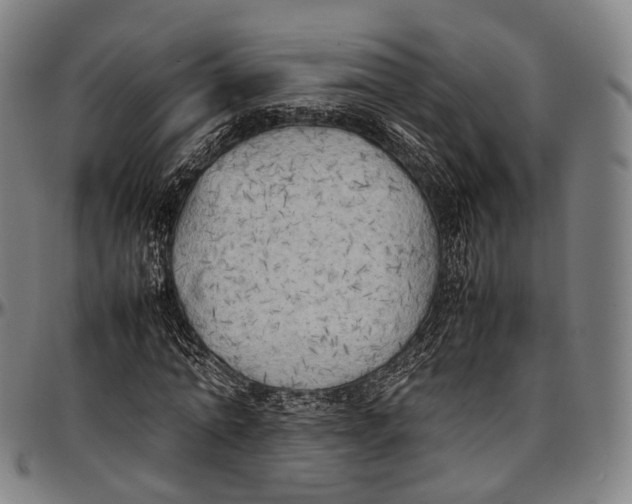 X0000096960774200802291120