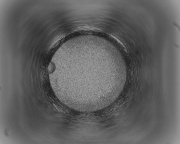 X0000096960775200802291120