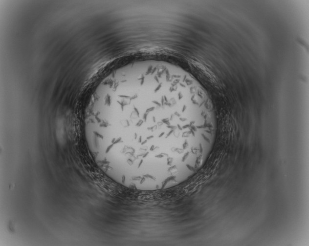 X0000096960776200802291120