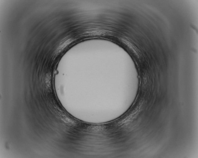 X0000096960778200802291120