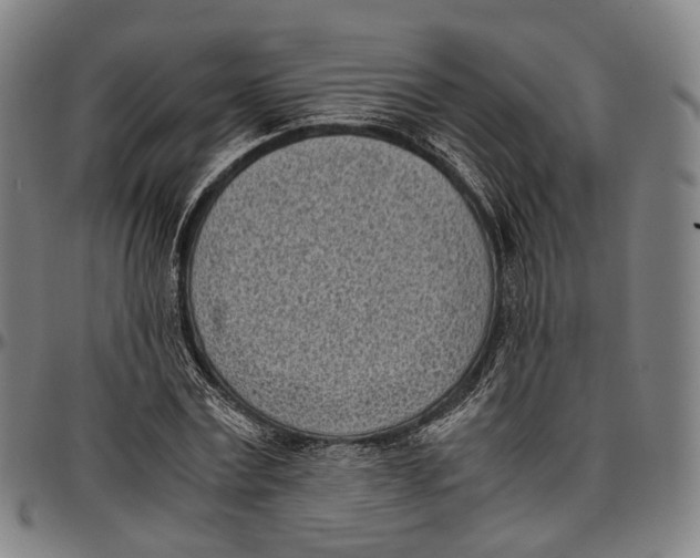 X0000096960779200802291120