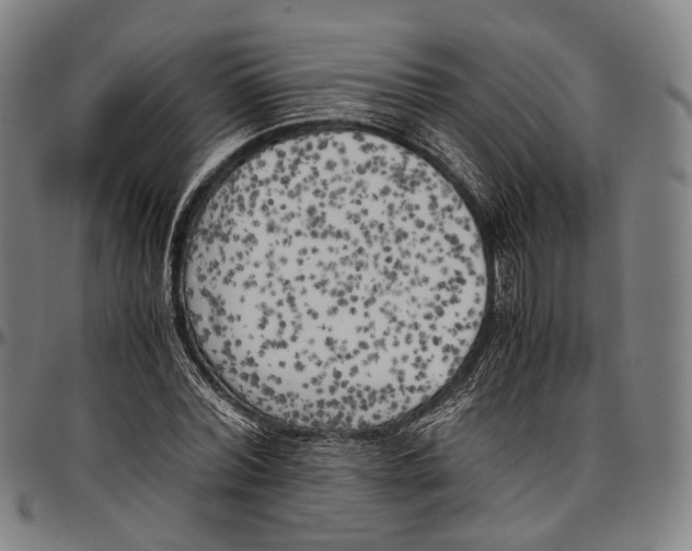 X0000096960780200802291120