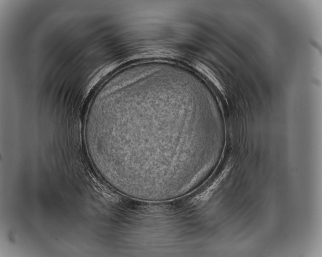 X0000096960781200802291120