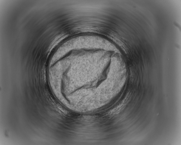 X0000096960782200802291120