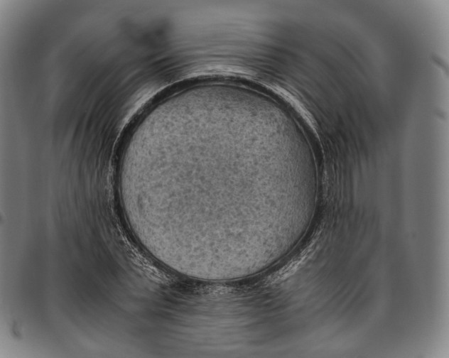 X0000096960783200802291120