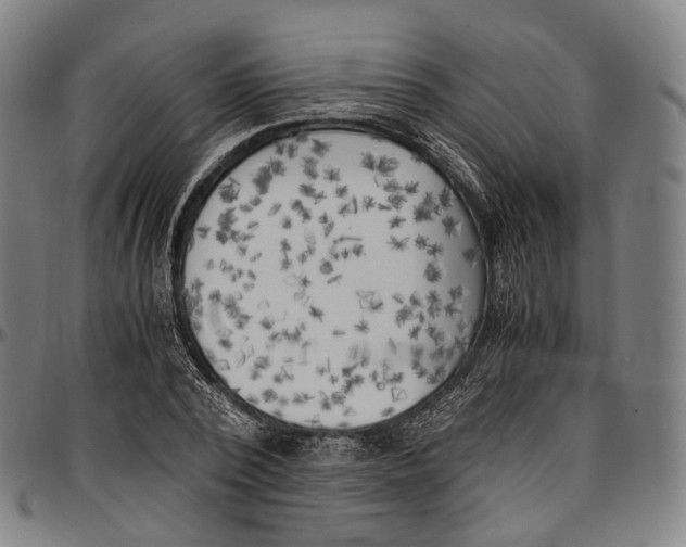 X0000096960784200802291120