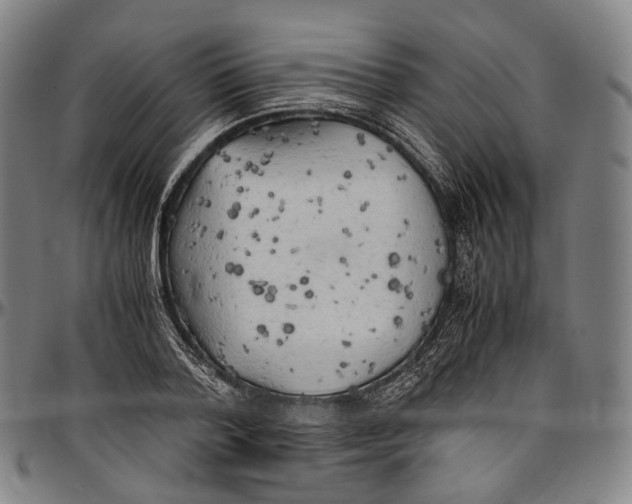 X0000096960788200802291120