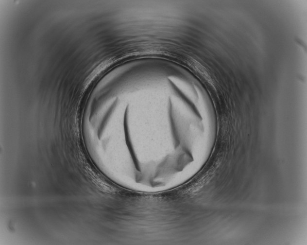 X0000096960789200802291120