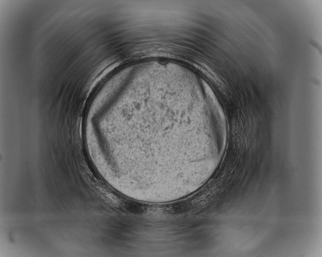 X0000096960790200802291120