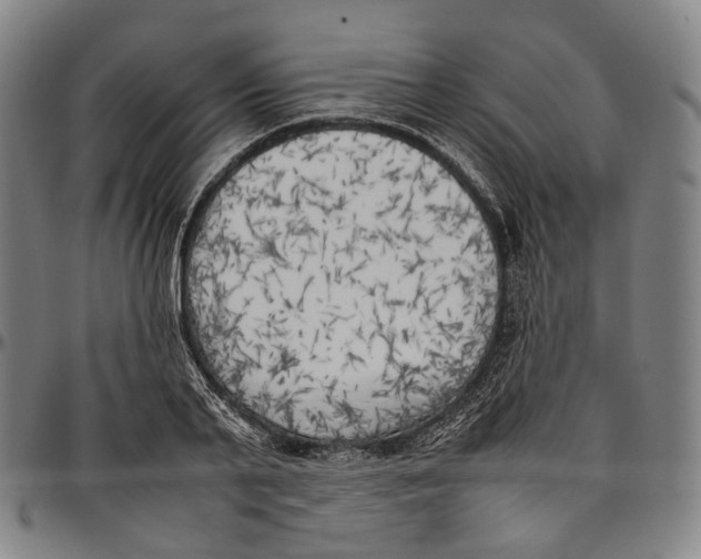 X0000096960791200802291120