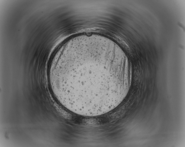 X0000096960792200802291120