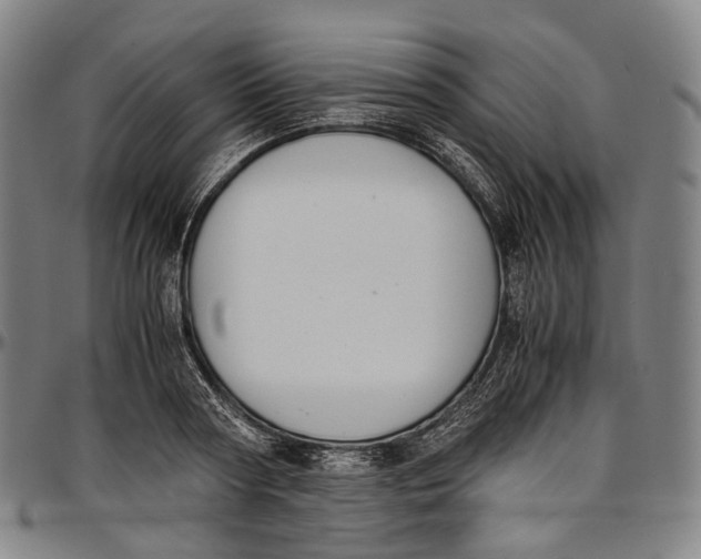 X0000096960794200802291120