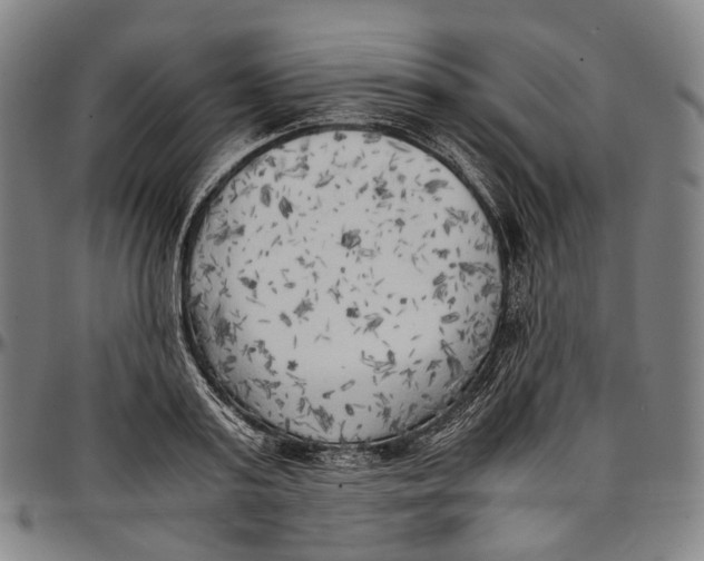 X0000096960795200802291120