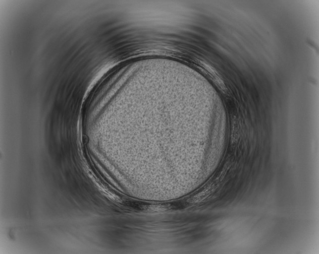 X0000096960796200802291120