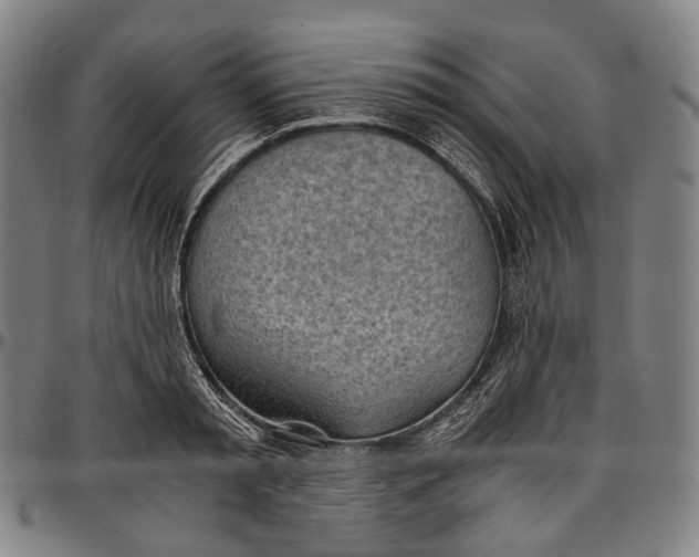 X0000096960797200802291120