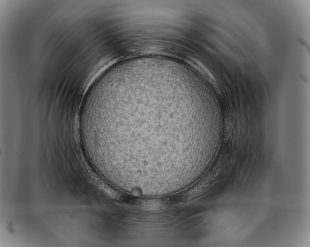 X0000096960798200802291120