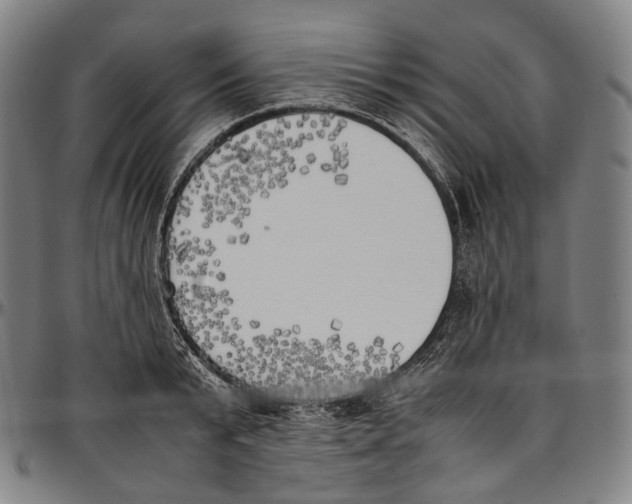 X0000096960799200802291120