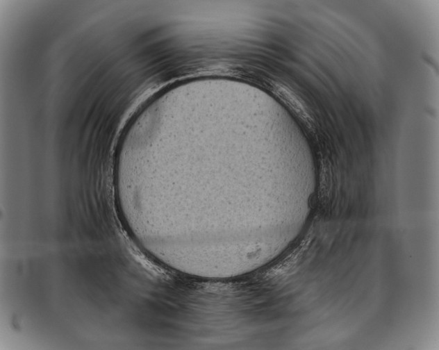 X0000096960800200802291120