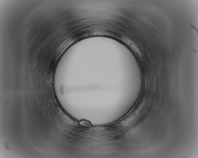 X0000096960801200802291120