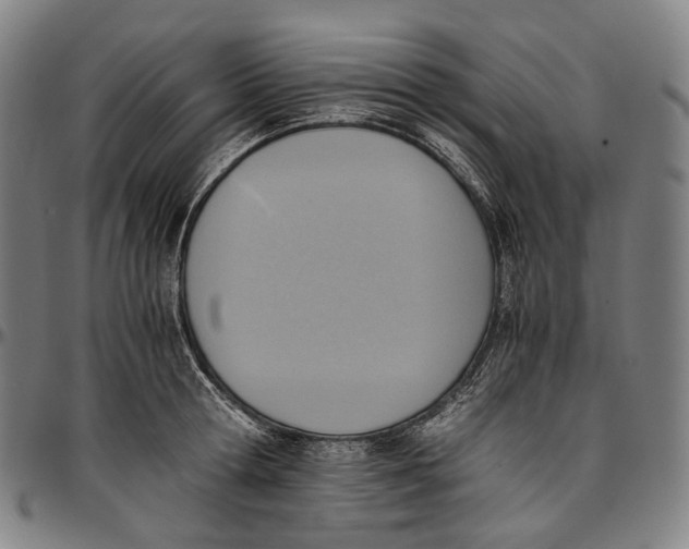 X0000096960802200802291120