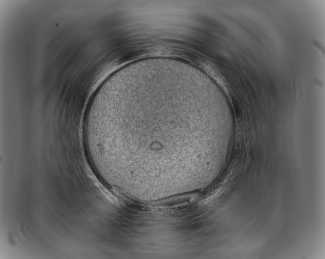 X0000096960803200802291120