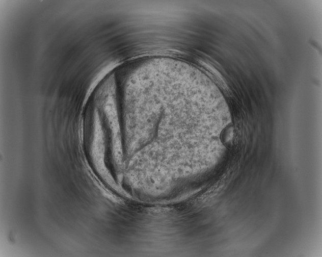 X0000096960804200802291120