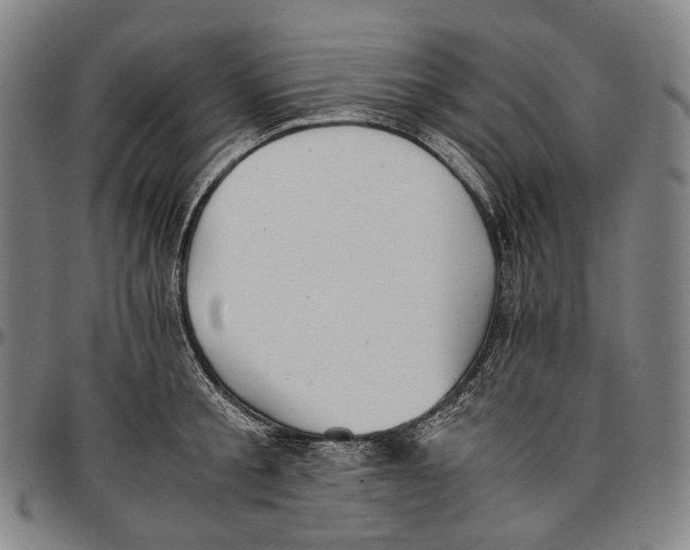 X0000096960805200802291120