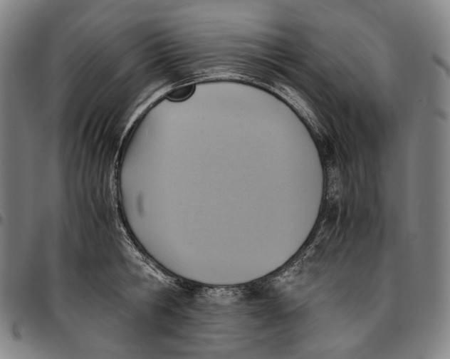 X0000096960806200802291119