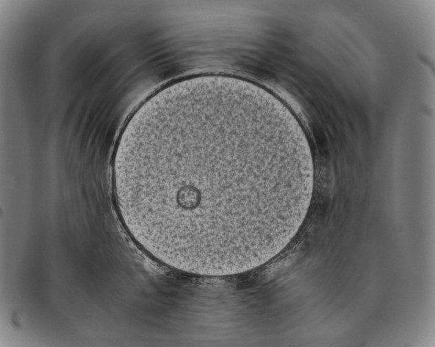 X0000096960807200802291119