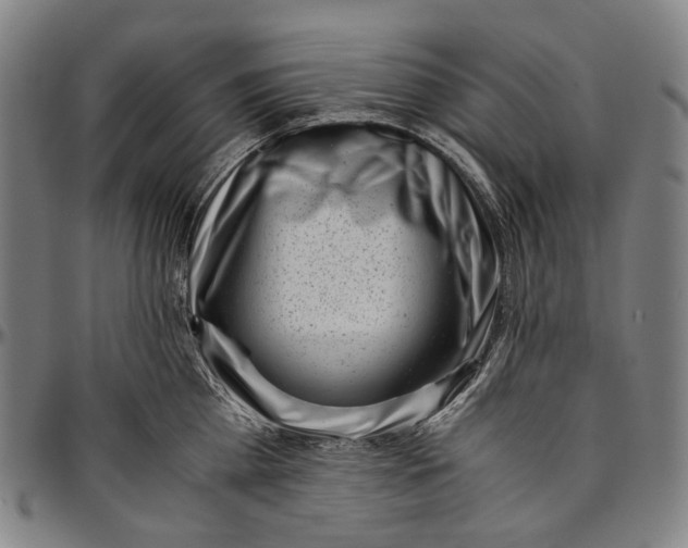 X0000096960809200802291119