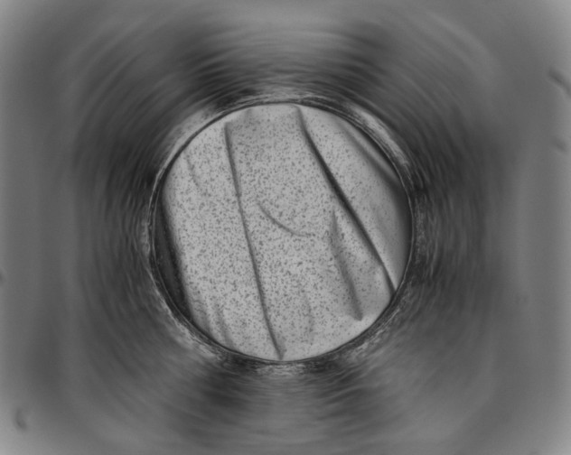 X0000096960810200802291119