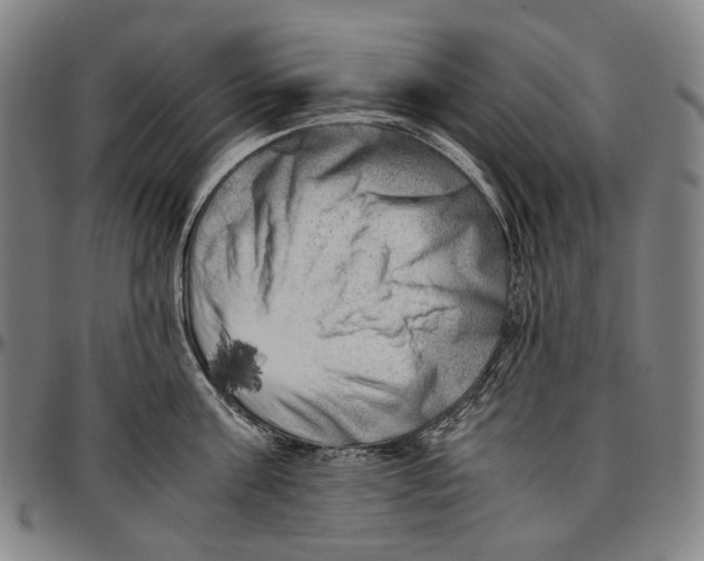 X0000096960811200802291119