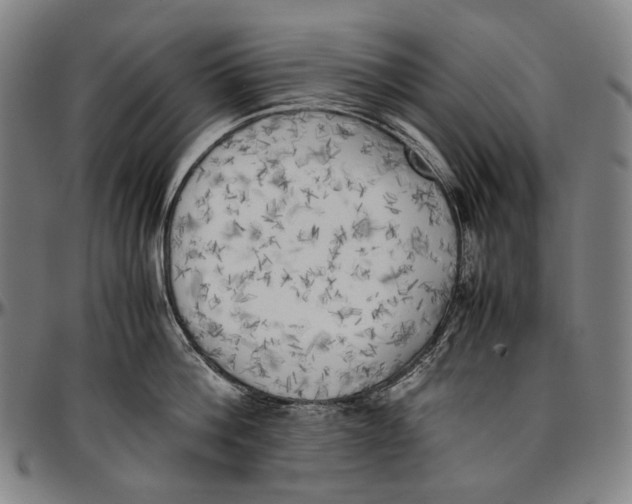 X0000096960812200802291119