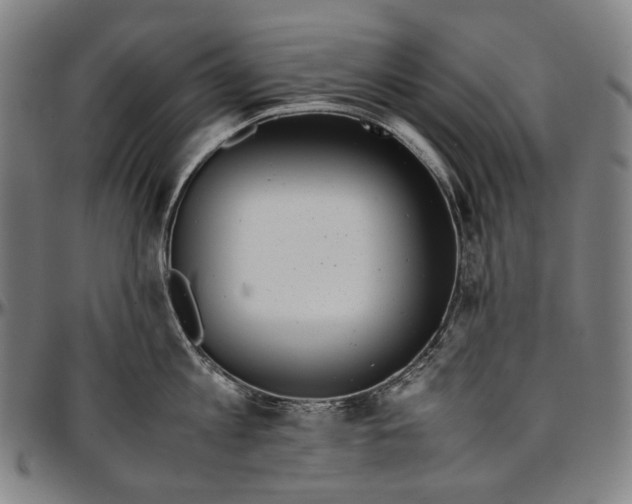 X0000096960813200802291119