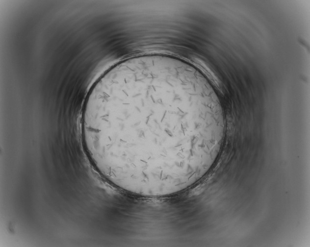 X0000096960814200802291119