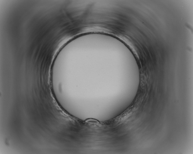 X0000096960815200802291119