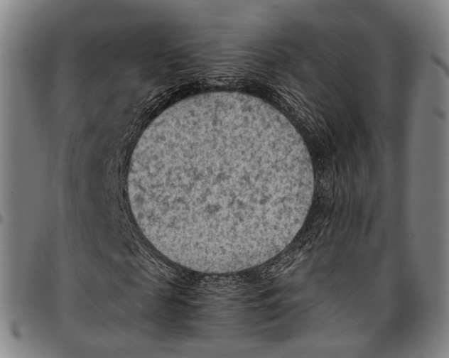 X0000096960817200802291119