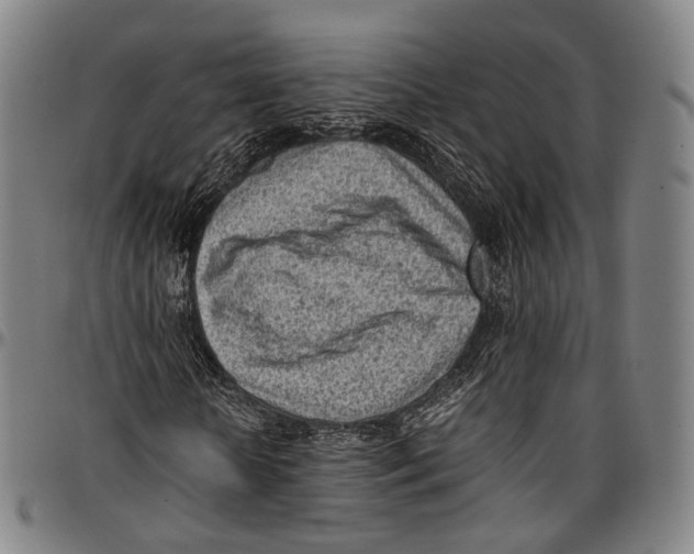 X0000096960818200802291119