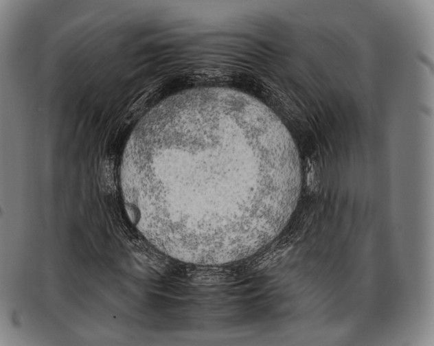 X0000096960819200802291119