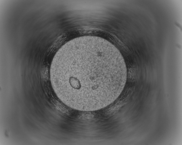 X0000096960820200802291119