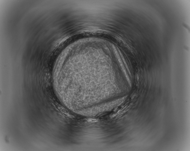 X0000096960822200802291119