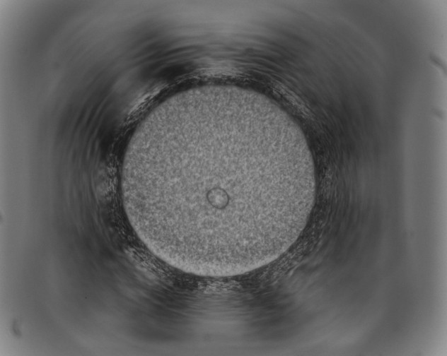 X0000096960824200802291119