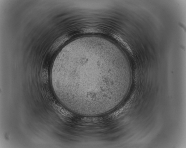 X0000096960825200802291119