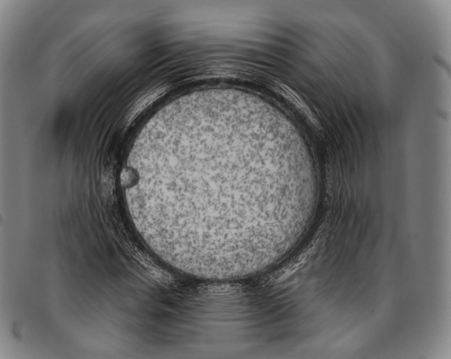 X0000096960826200802291119