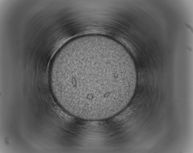 X0000096960828200802291119