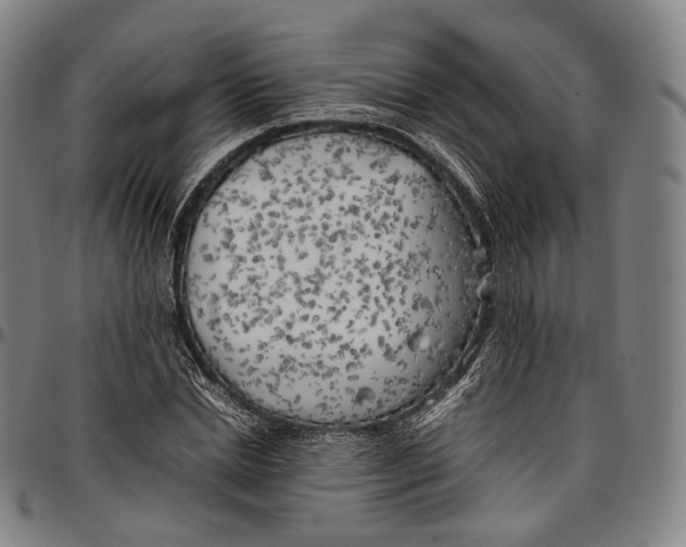 X0000096960830200802291119