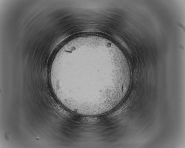 X0000096960831200802291119