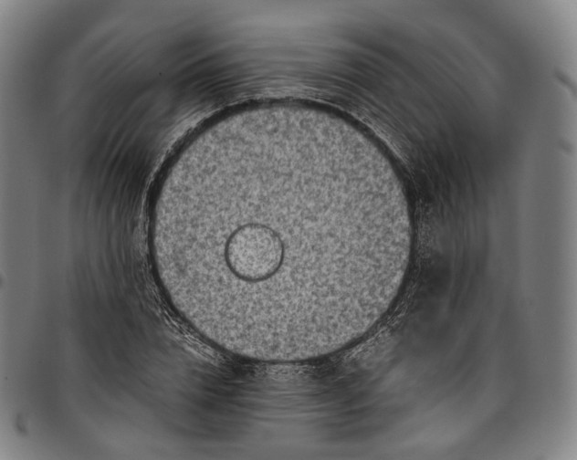 X0000096960832200802291119