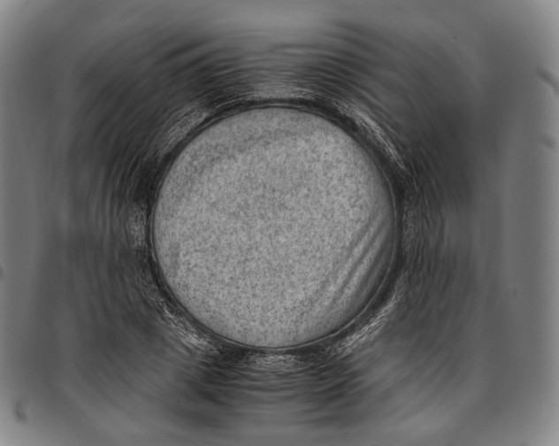 X0000096960833200802291119